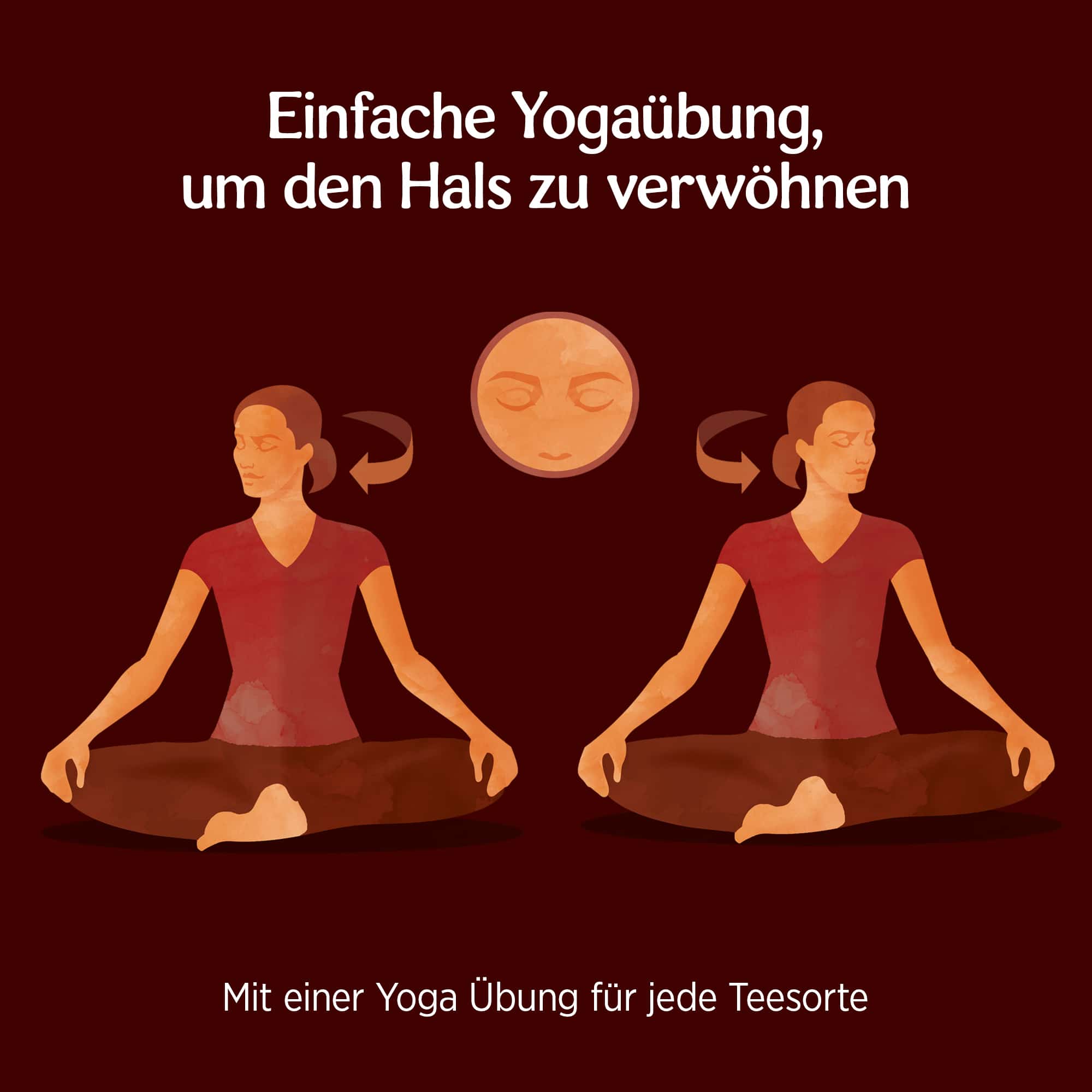 10 x BIO YOGI TEA Echinacea | 10 x 30,6g