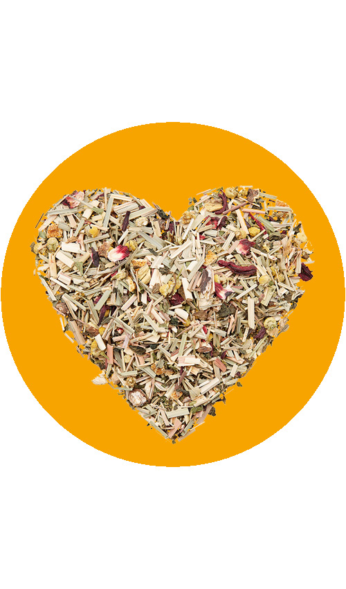 BIO Kräutertee 10-Kräuter | 70 g