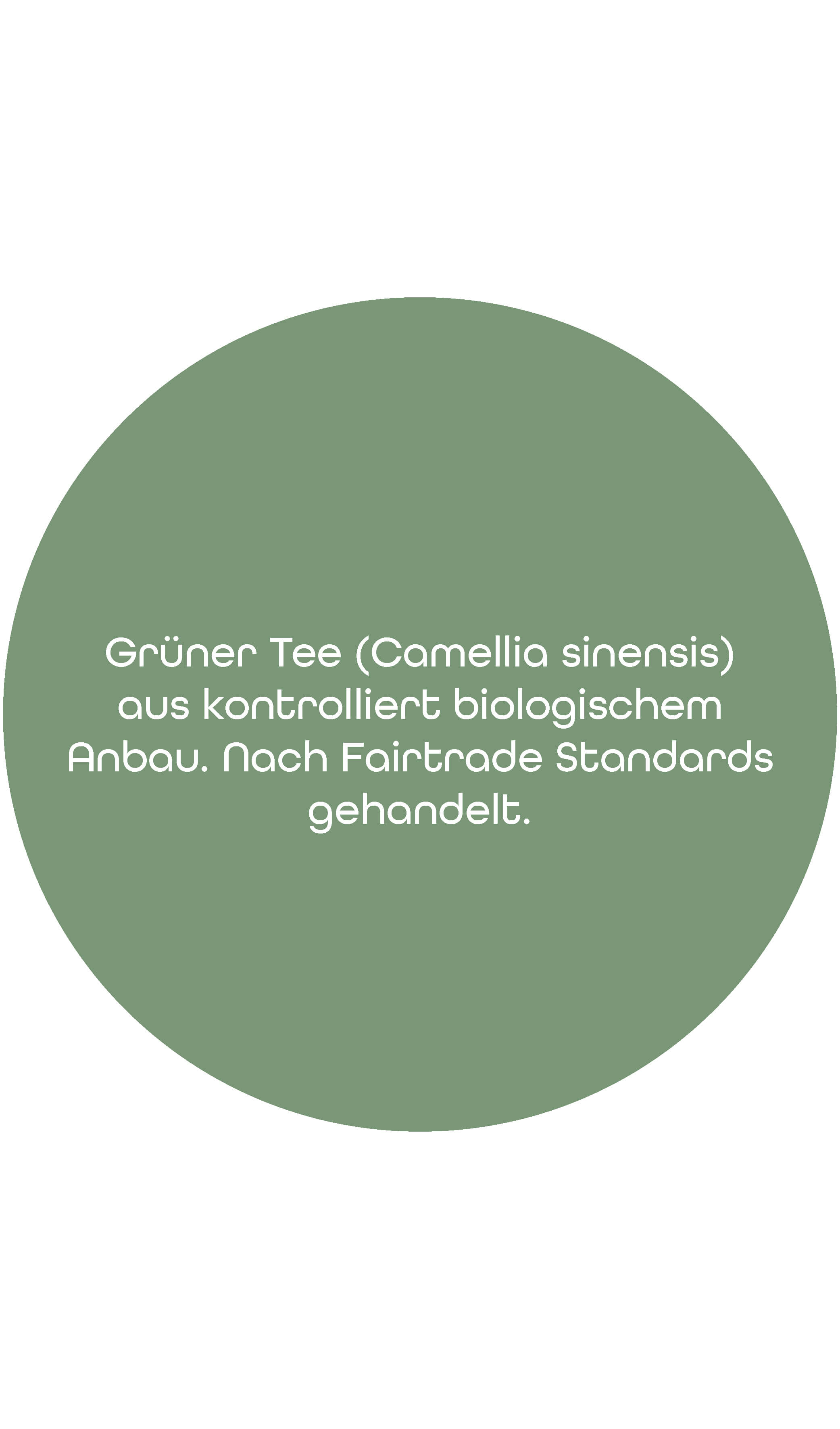 BIO & FairTrade Grüner Tee Chun Mee | 1kg