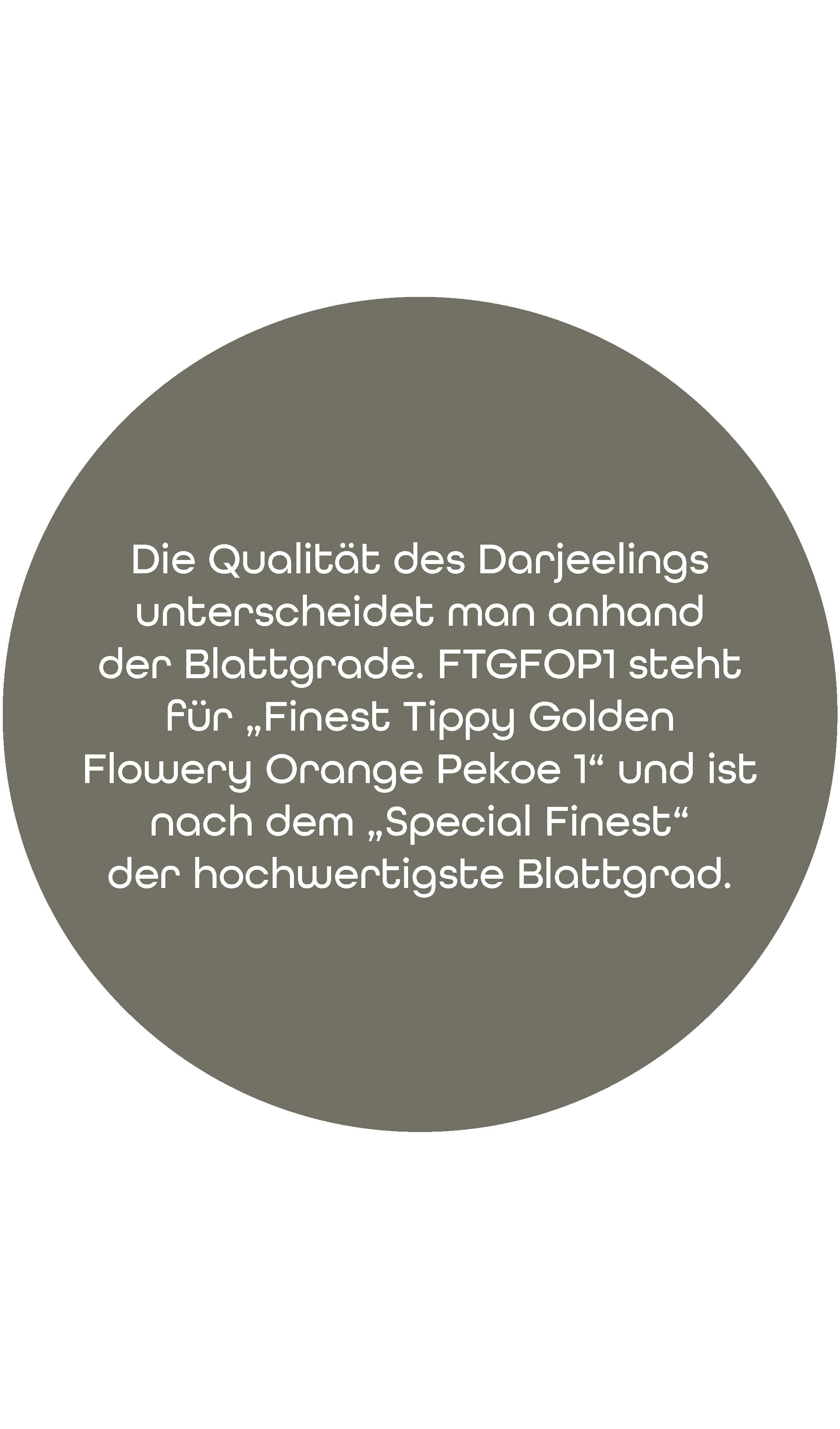 BIO Darjeeling FTGFOP1 | 100 g