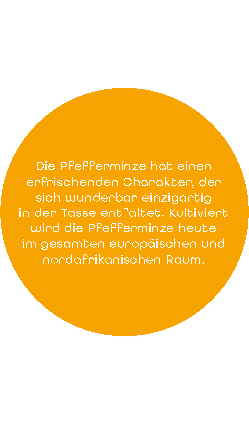 BIO SariTee MinzenFrische | 60 g