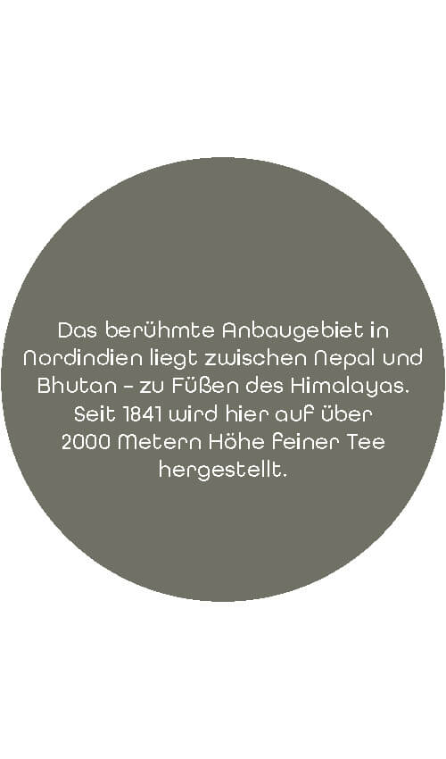 Schwarztee Darjeeling | 200g