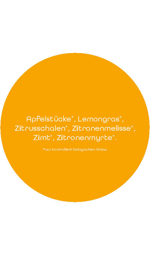 BIO Kräuter & Früchte Mix | 1 kg