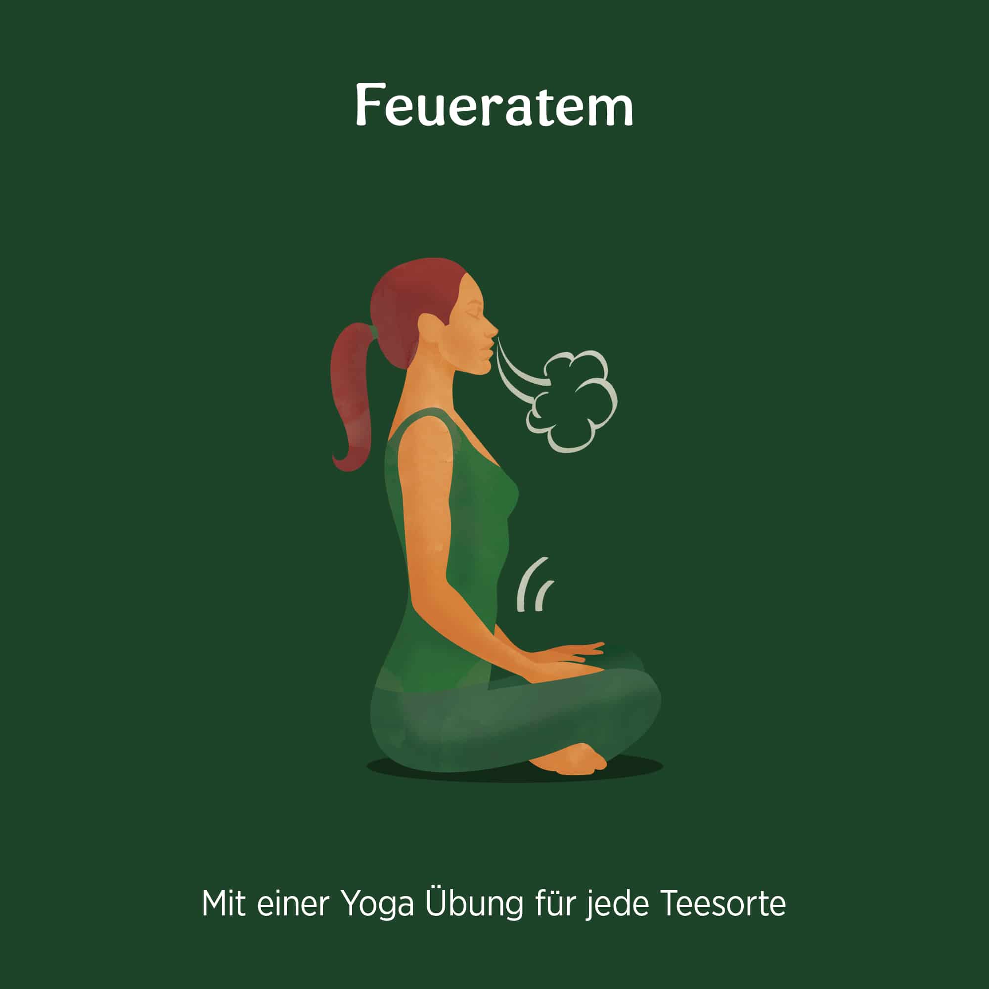 10 x BIO YOGI TEA Green Chai | 10 x 30,6g
