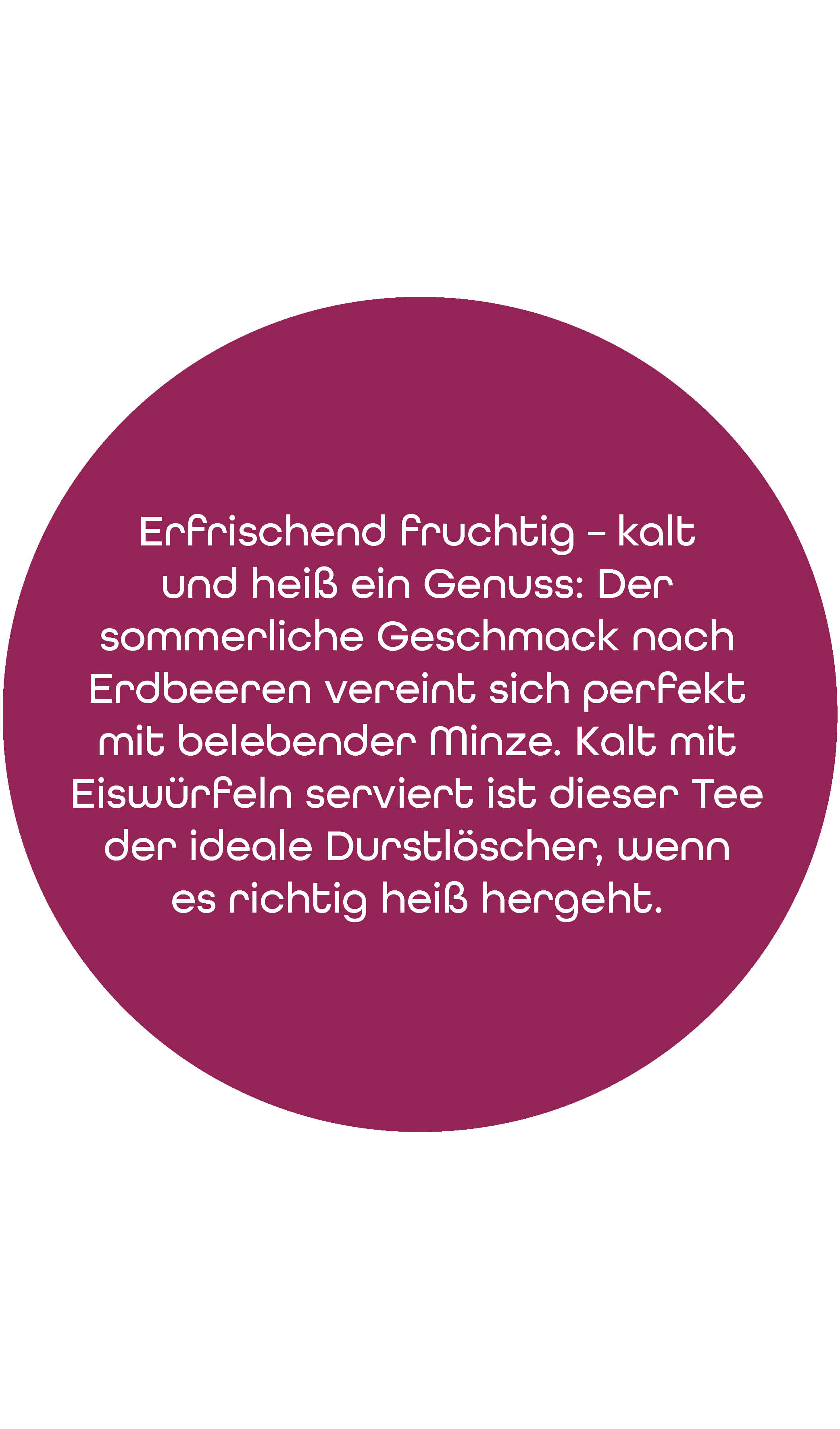 BIO Früchtetee Erdbeere Spearminze | 100 g