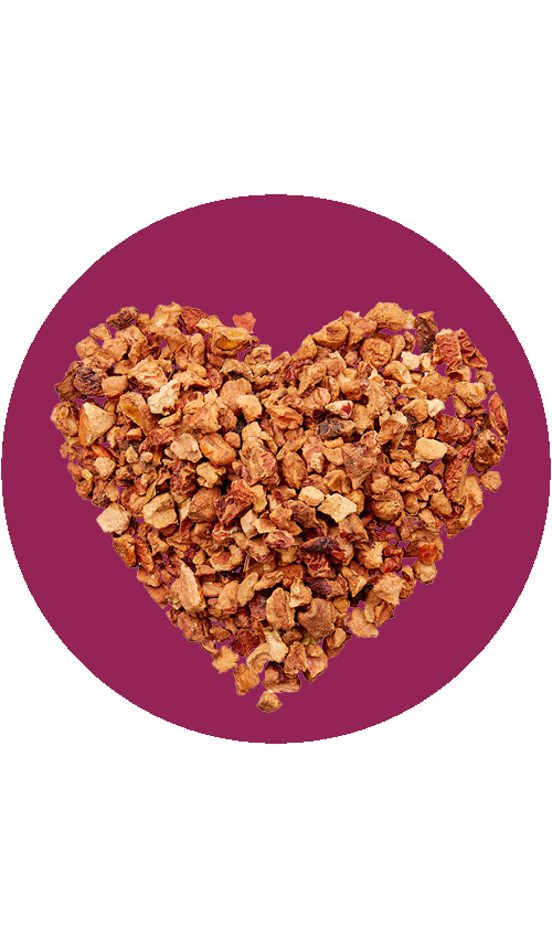 BIO Früchtetee Türkischer Apfeltraum | 1kg