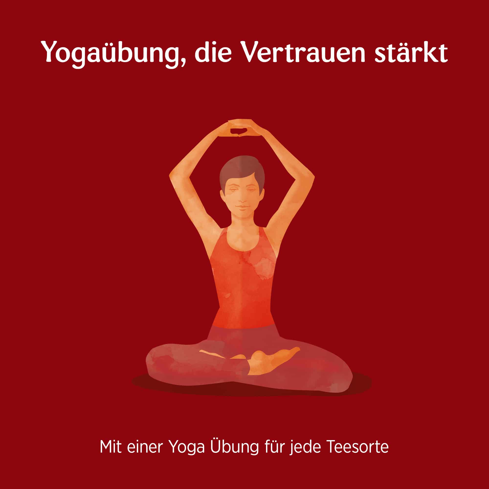 10 x BIO YOGI TEA Abend Rooibos Vanille | 10x30,6g