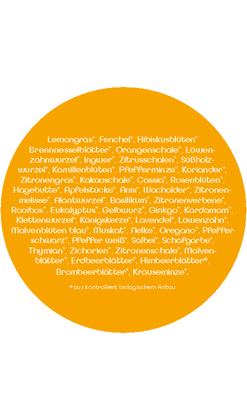 BIO SariTee 49 Kräuter | 60 g