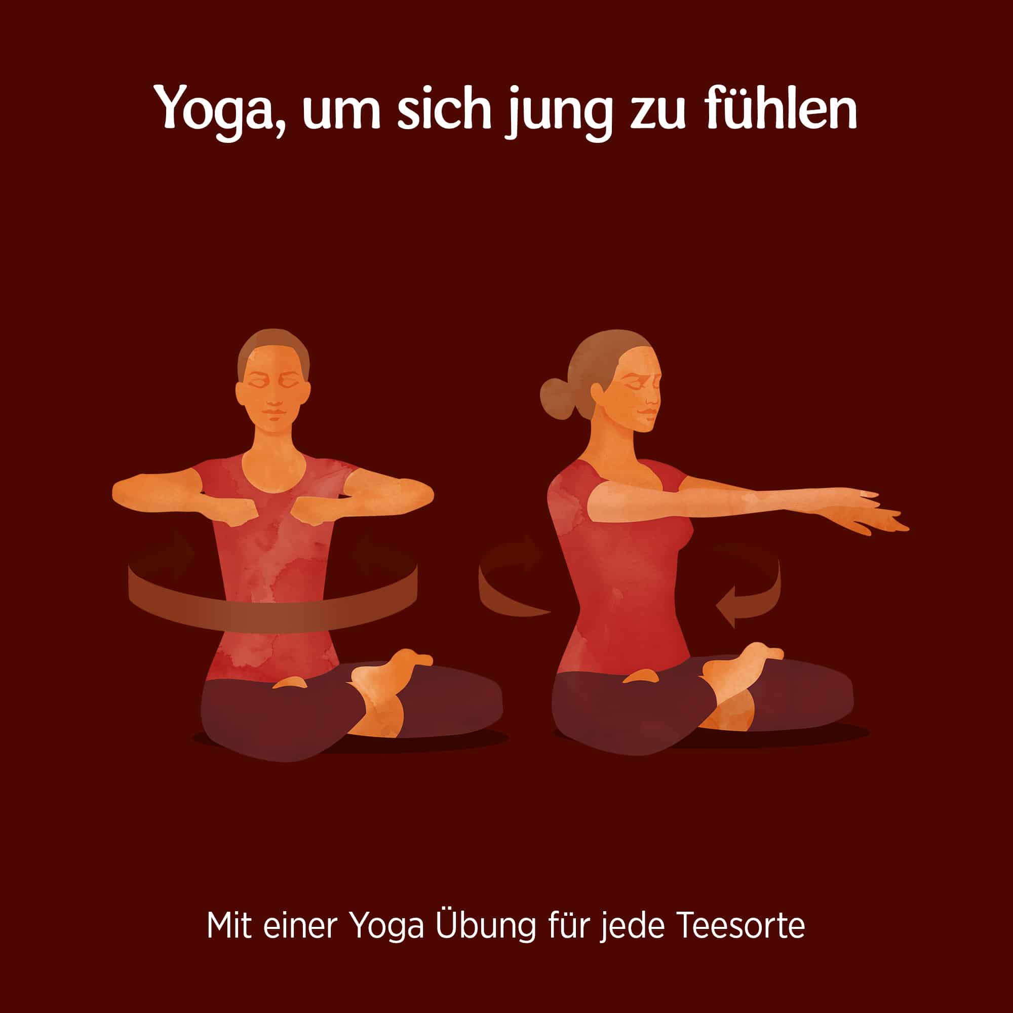 10 x BIO YOGI TEA Maca Chai | 10 x 35,7g