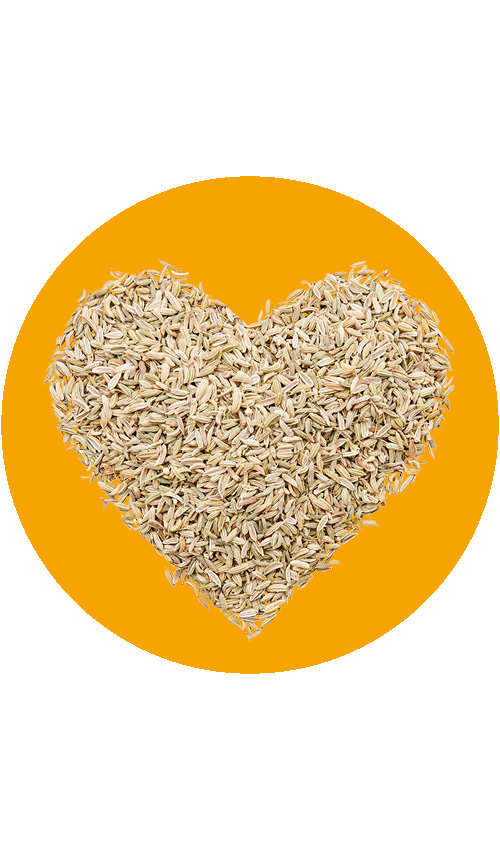 BIO SariTee FenchelFein | 100 g