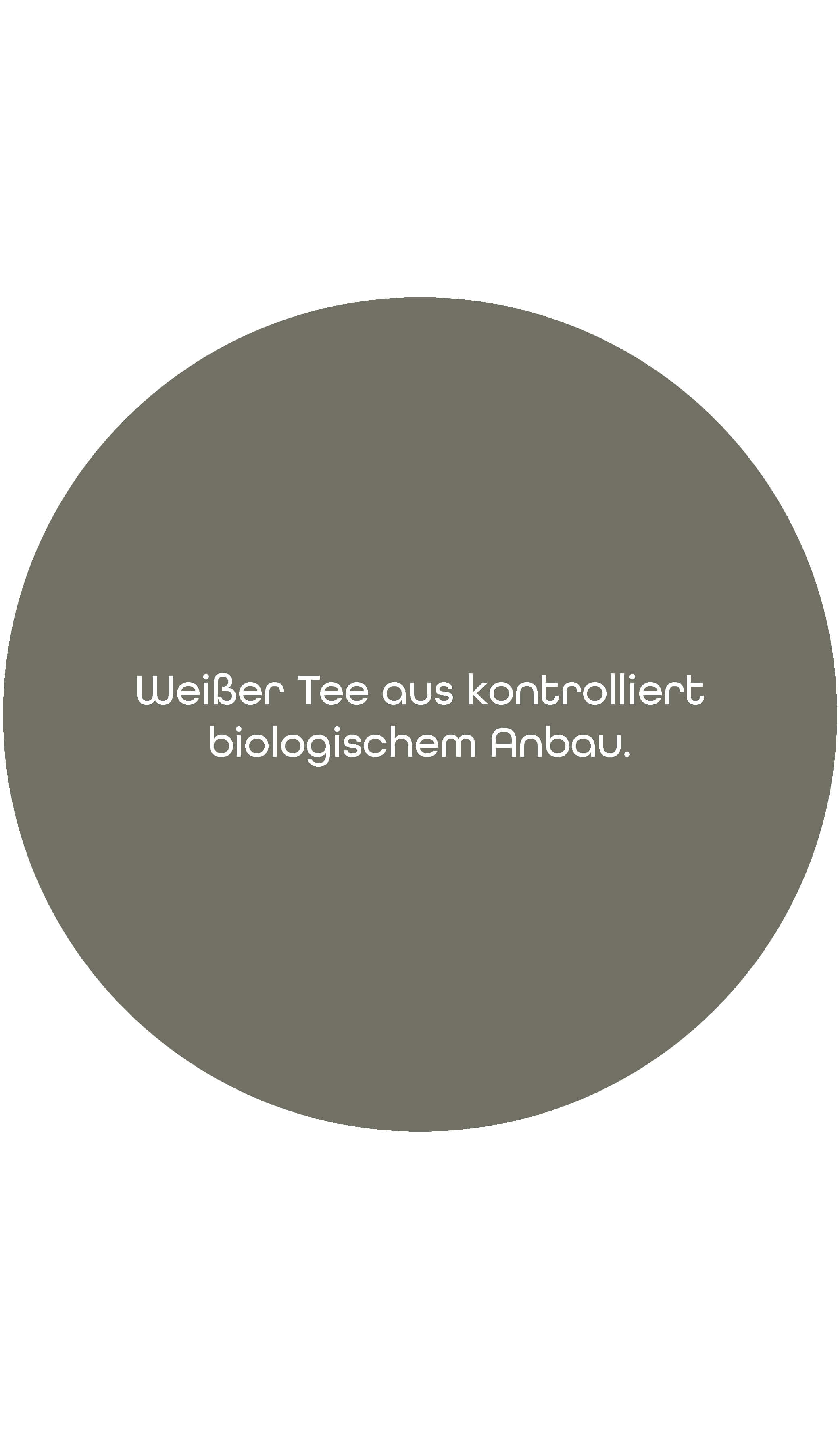 BIO Weißer Tee Pai Mu Tan | 1kg