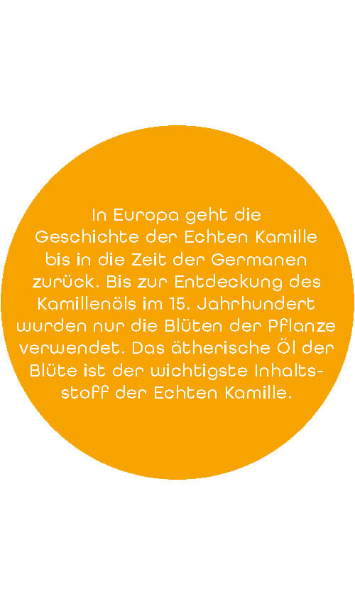 BIO SariTee KamillenTraum | 30 g