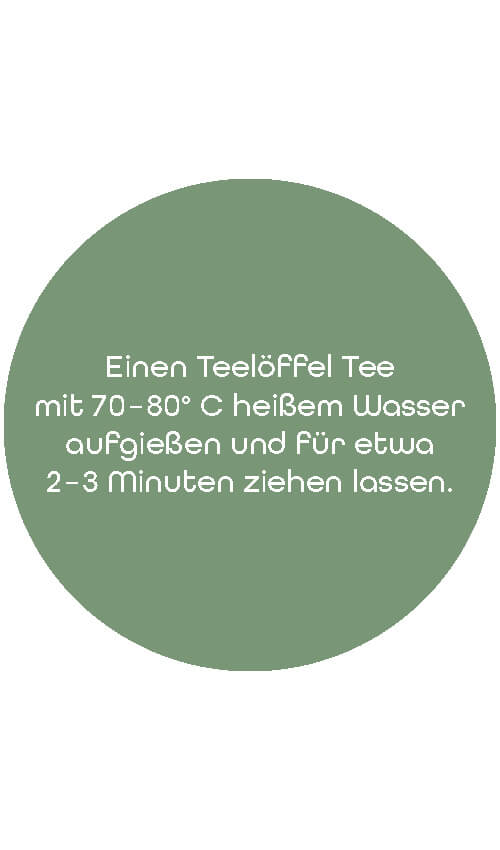 BIO Grüner Tee Traum der Südsee | 1 kg