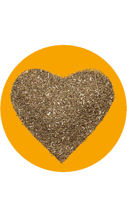 BIO SariTee MinzenFrische | 60 g