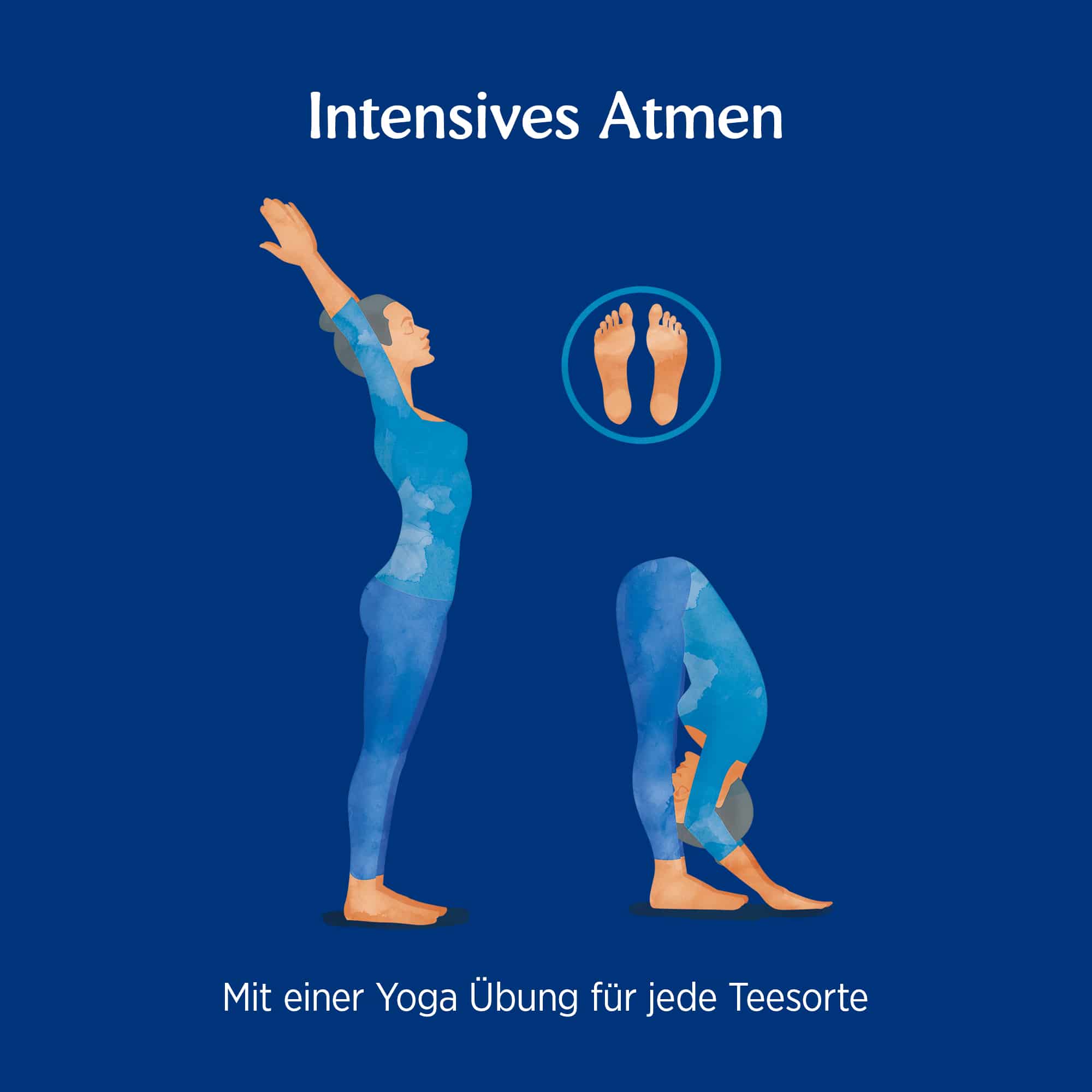 10 x BIO YOGI TEA Atemtee | 10 x 30,6g