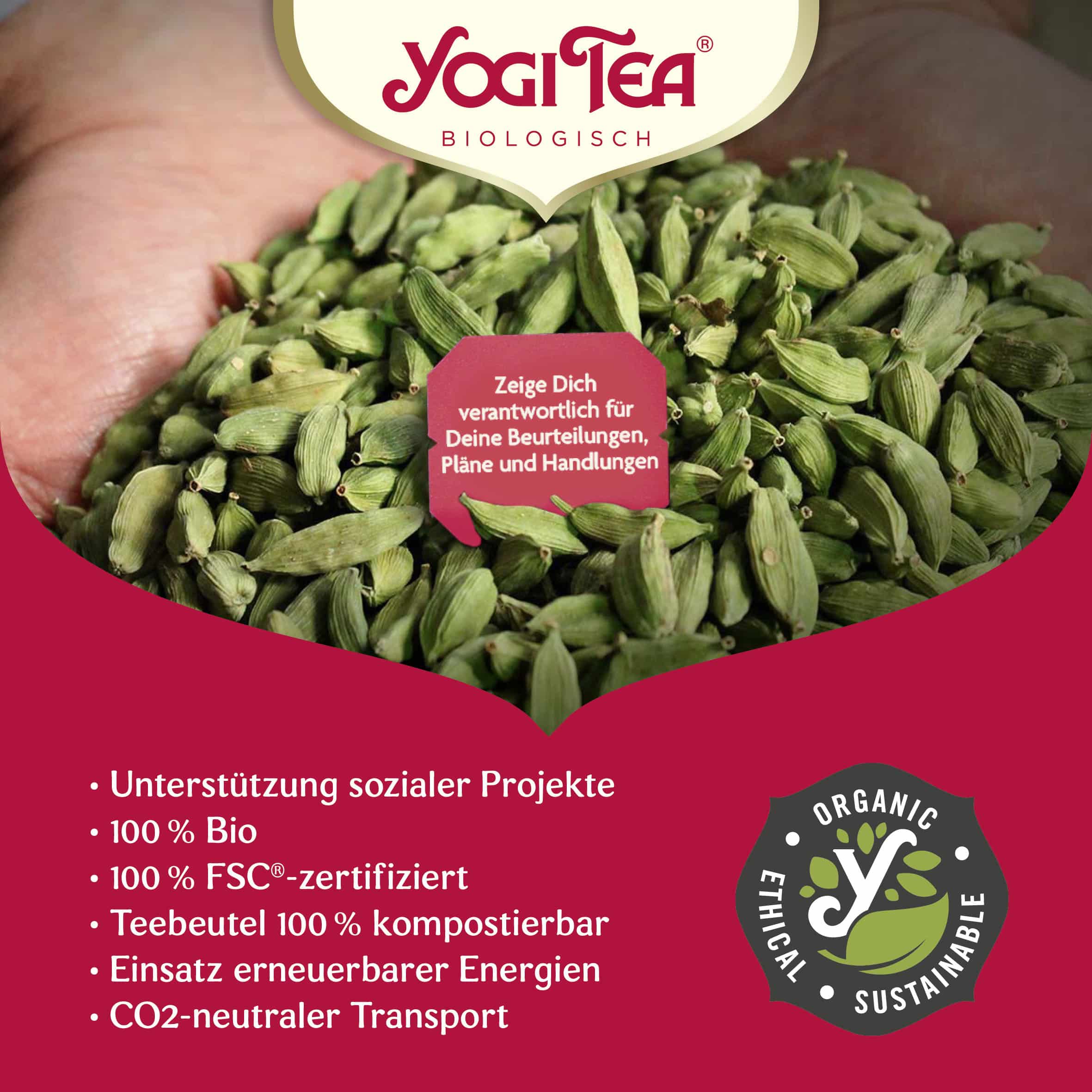 10 x BIO YOGI TEA Halswärmer | 10 x 30,6g
