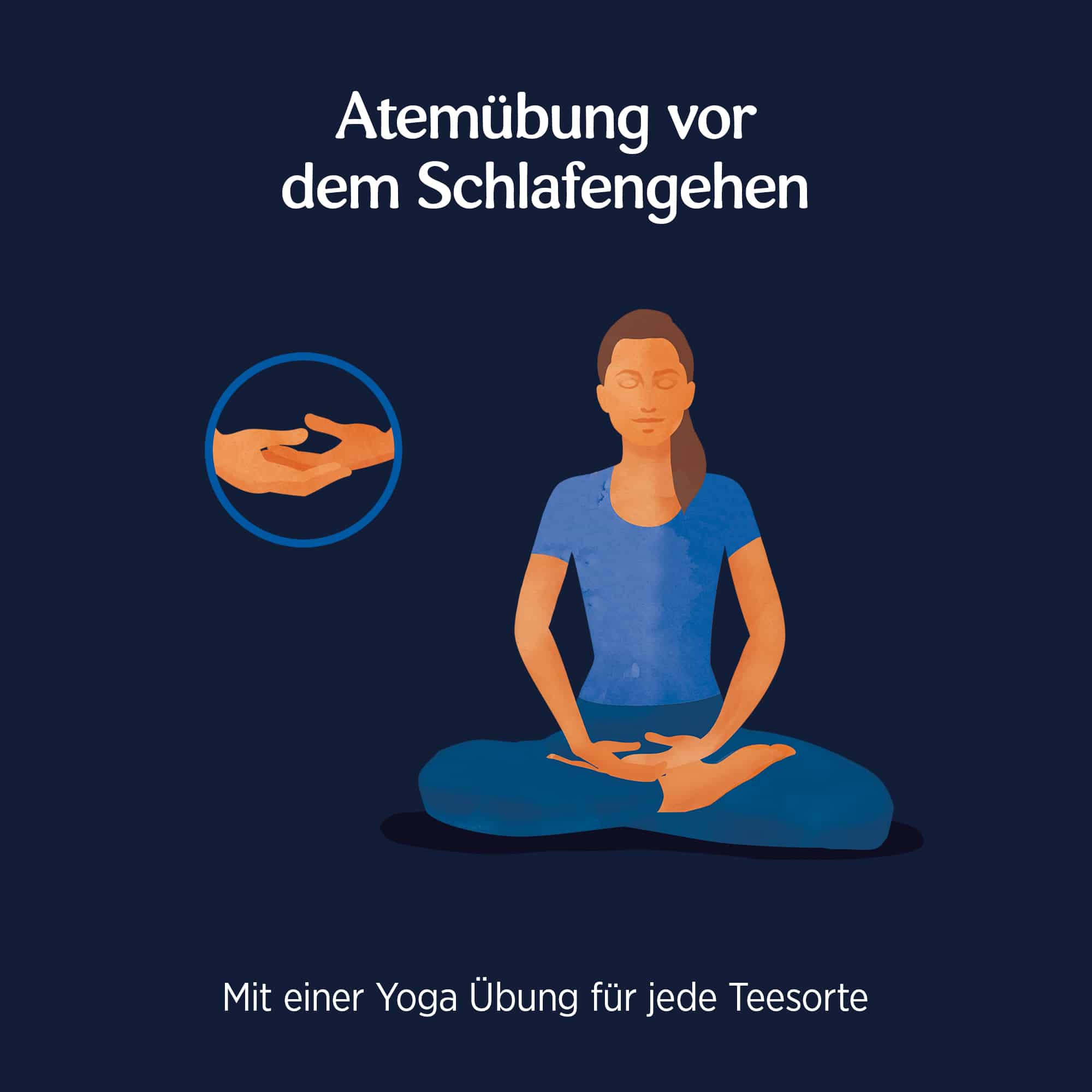 10 x BIO YOGI TEA Abend | 10 x 30,6g
