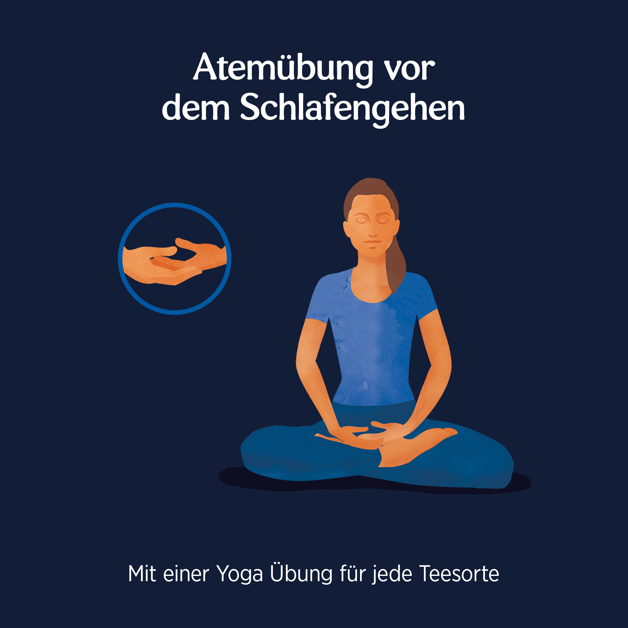 BIO YOGI TEA Abend | 17 x 1,8g