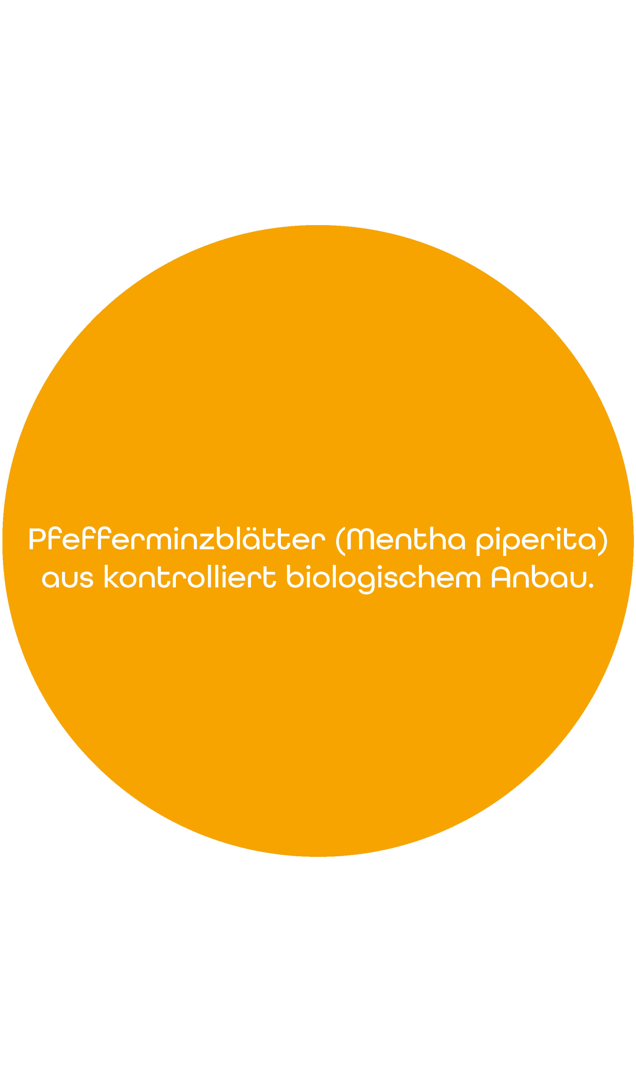 BIO Kräutertee Pfefferminze | 1kg