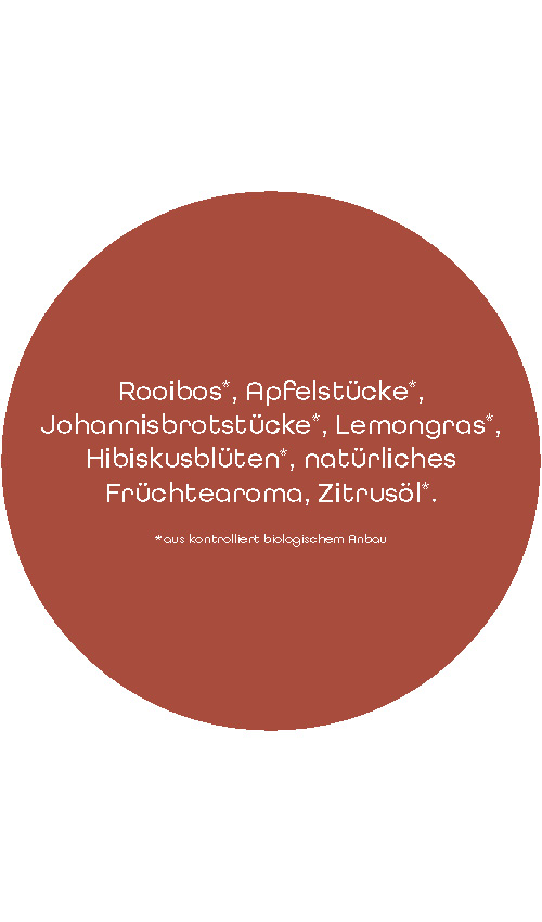 BIO SariTee RooibosMango | 80 g